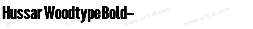 Hussar Woodtype Bold字体转换